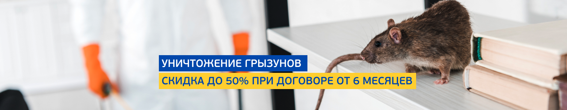 Уничтожение грызунов Уничтожение грызунов