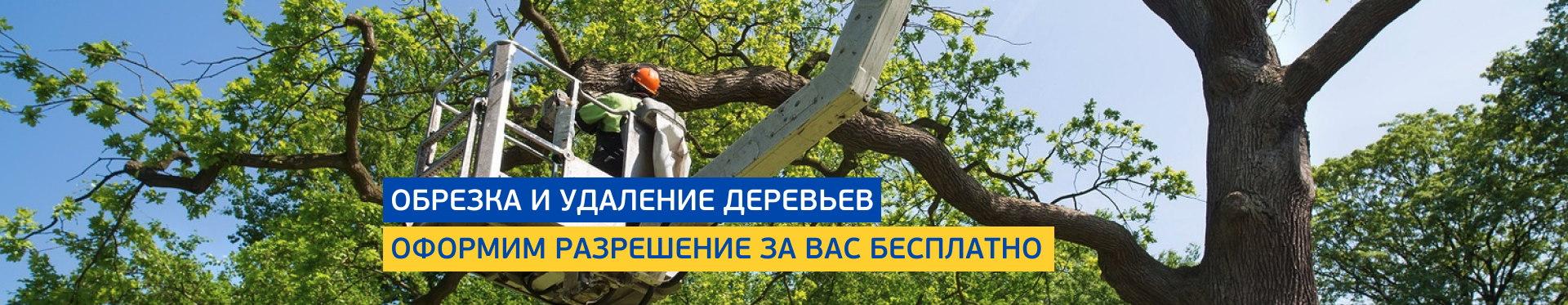 Обрезка и снос деревьев Обрезка и снос деревьев