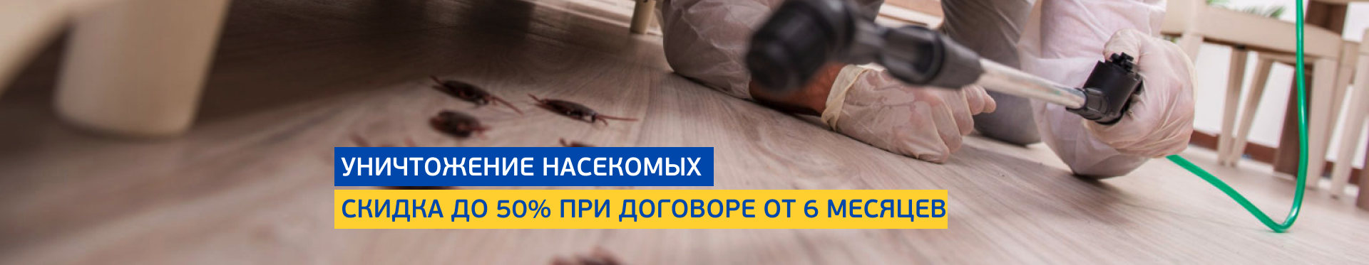 Уничтожение насекомых Уничтожение насекомых