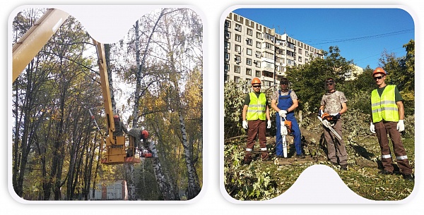 Обрезка и снос деревьев Обрезка и снос деревьев